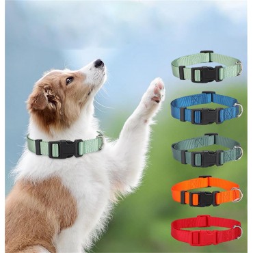 3/4"x20"  Adjustable Pet Collar w/ Buckle
